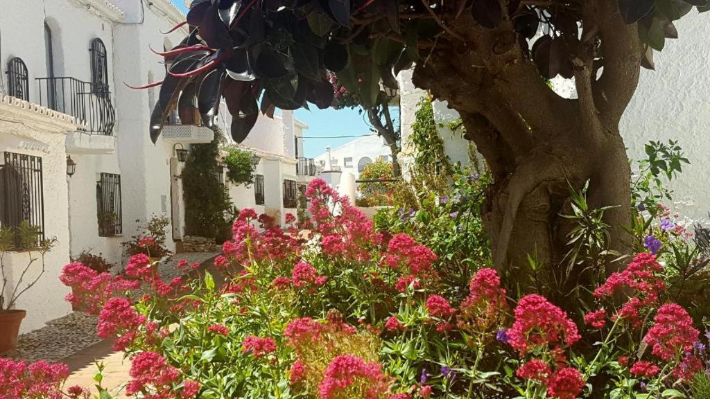 Apartamento Capistrano Village Nerja Kültér fotó